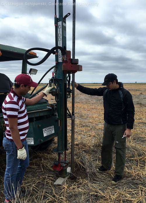 Agustín Nuñez and Angie Moore of Colorado State University are sampling soil in eastern Colorado. 